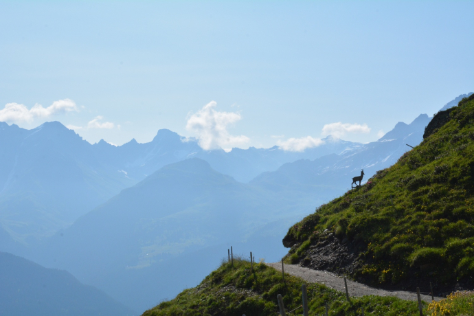 Trailrun Tigignas - Somtgant - Savognin (oua_49466913_image)