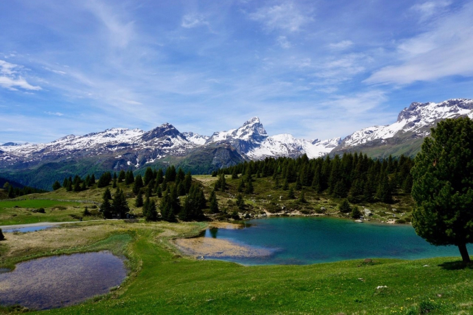 Marmorera - Alp Flix - Rona (oua_49756513_image)