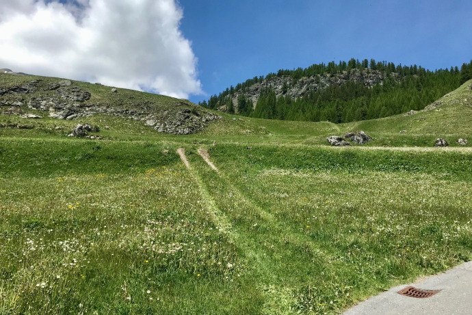 Sur - Alp Flix - Sur (oua_49760564_image)