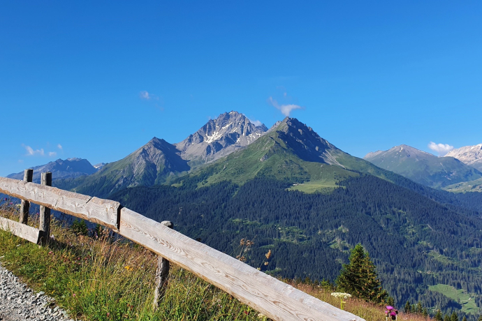 Plang la Curvanera - Pass digls Orgels - Pass d'Ela - Preda (oua_51678183_image)