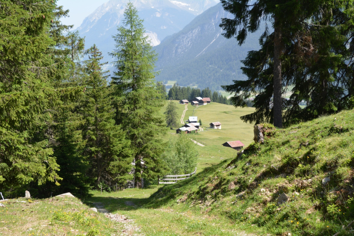 Radons - Tigia - Parnoz - Savognin (oua_51720654_image)