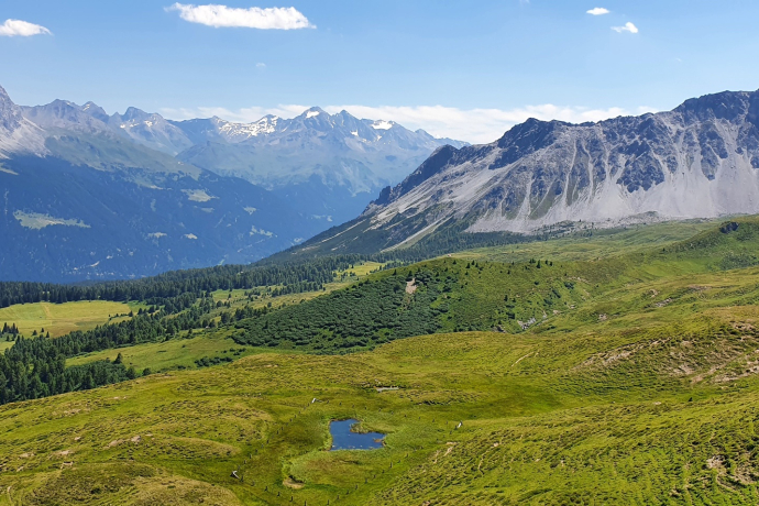 Munter - Ziteil - Stierva (oua_51898475_image)