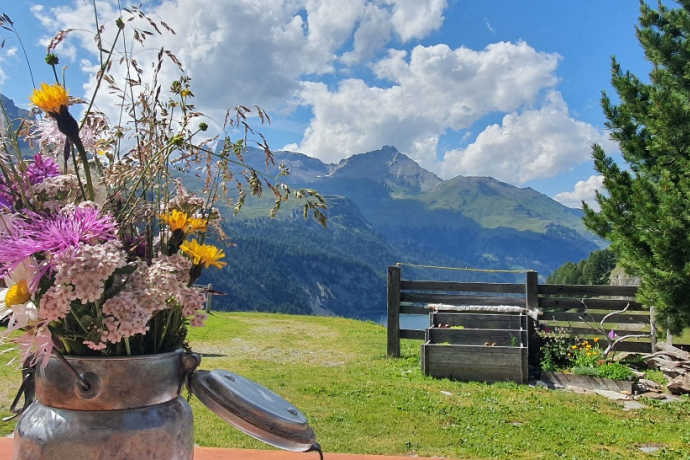 Trailrun Bivio - Alp Natons - Bivio (oua_52073412_image) Trailrun Bivio - Alp Natons - Bivio (oua_52073412_image)