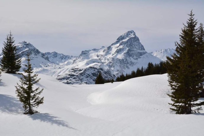 573 Alp Flix - Schneeschuhtrail (oua_54549743_image)