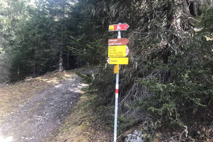 Naturwaldreservat La Niva Rundtour (oua_54757415_image)