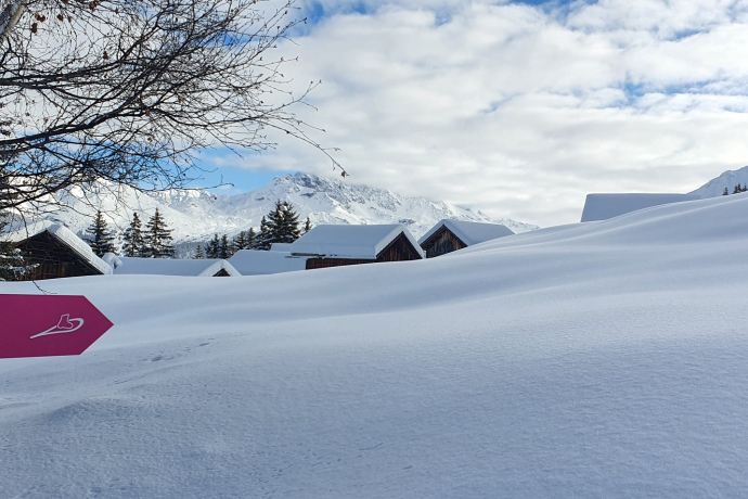 574 Roggi's Trail (oua_55356262_image)