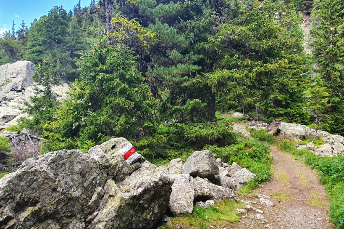 Trailrun Rund um den Marmorerasee (oua_56418815_image)