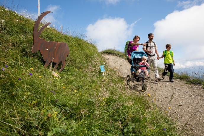 Flurin und die wundersame Vollmondblume (Kinderwagengerecht) (oua_56637434_image)