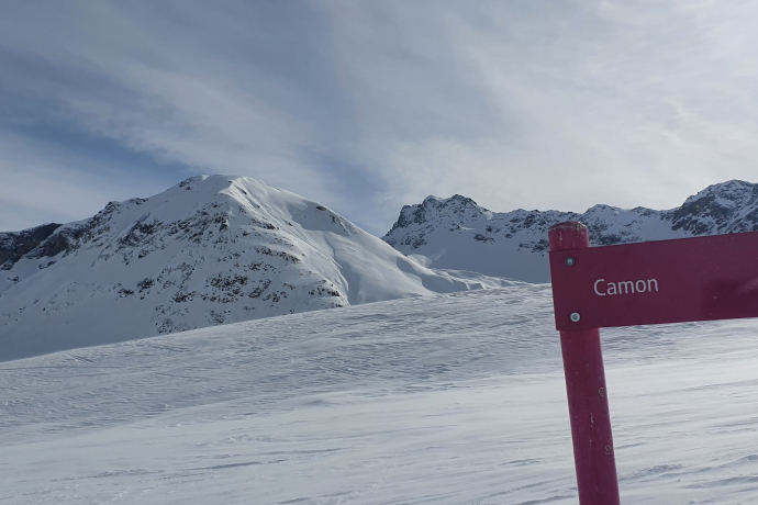 Bivio - Camon - Bivio (oua_57785421_image)