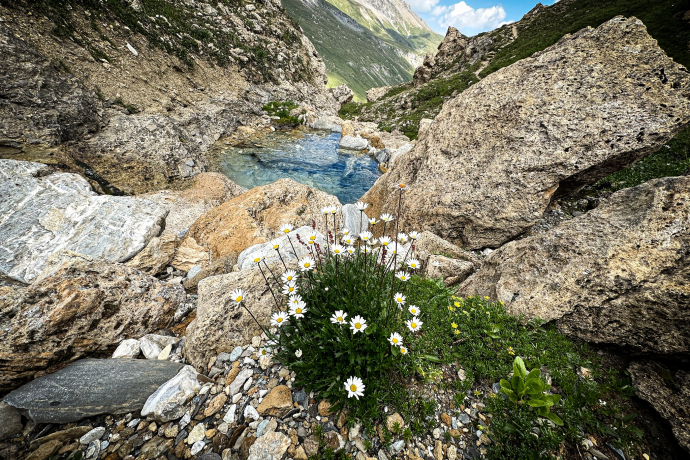 Von Somtgant nach Ausserferrera (oua_605029789_image)