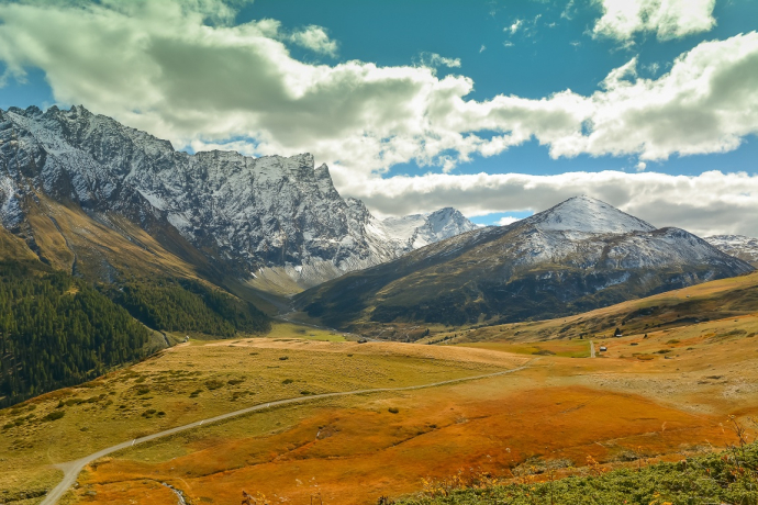 Radons (oua_70614876_image)