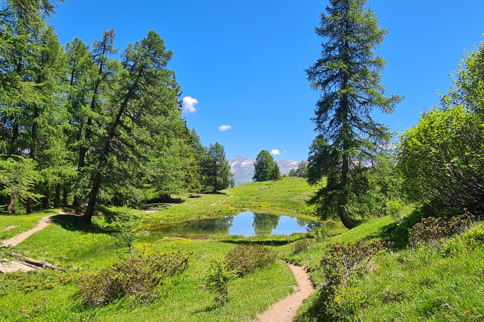 Bergseewanderung Lai Lung (oua_71962886_image)