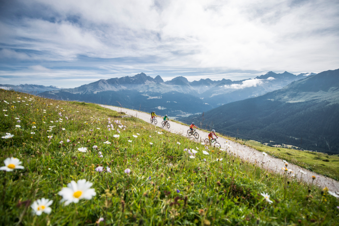 655 Radons Bike (oua_80268072_image)