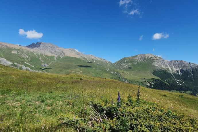 Somtgant - Ziteil - Salouf (oua_93999042_image)