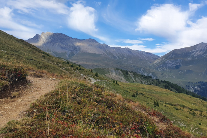 Somtgant - Ziteil - Salouf (oua_93999045_image)