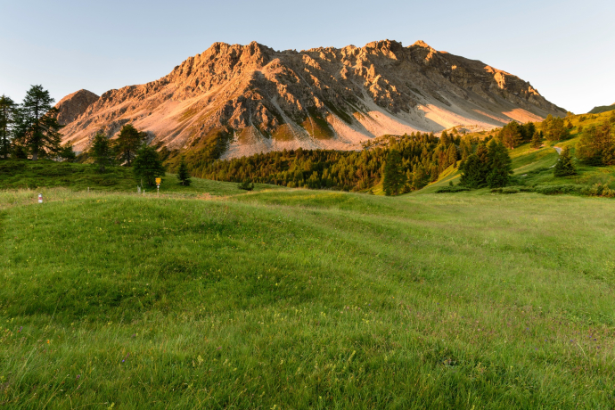 Munter - Ziteil - Cre digl Lai (oua_93999387_image)