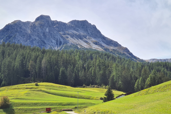 64.03 Tiefencastel - Savognin, ViaSett (oua_96711743_image)