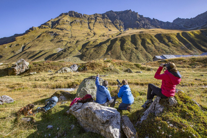 2-Tages-Wildbeobachtung im Parc Ela (gdl_897825008_image) 2-Tages-Wildbeobachtung im Parc Ela (gdl_897825008_image)