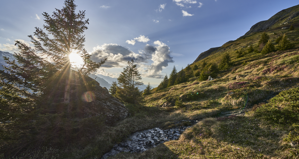Landschaft Val Surses Christoph Gramann Landschaft Val Surses Christoph Gramann