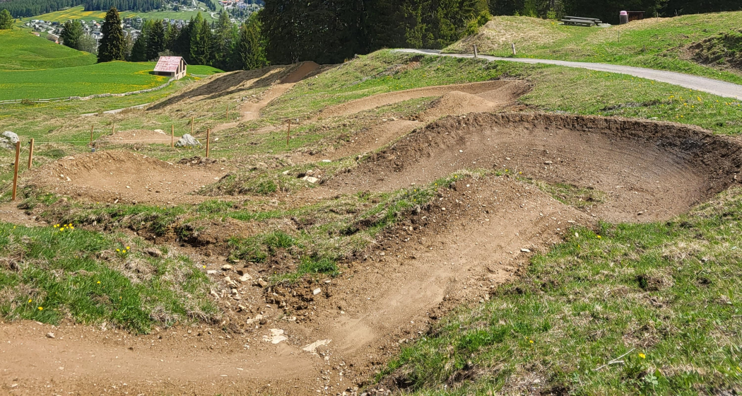 Flowtrail Parnoz ""