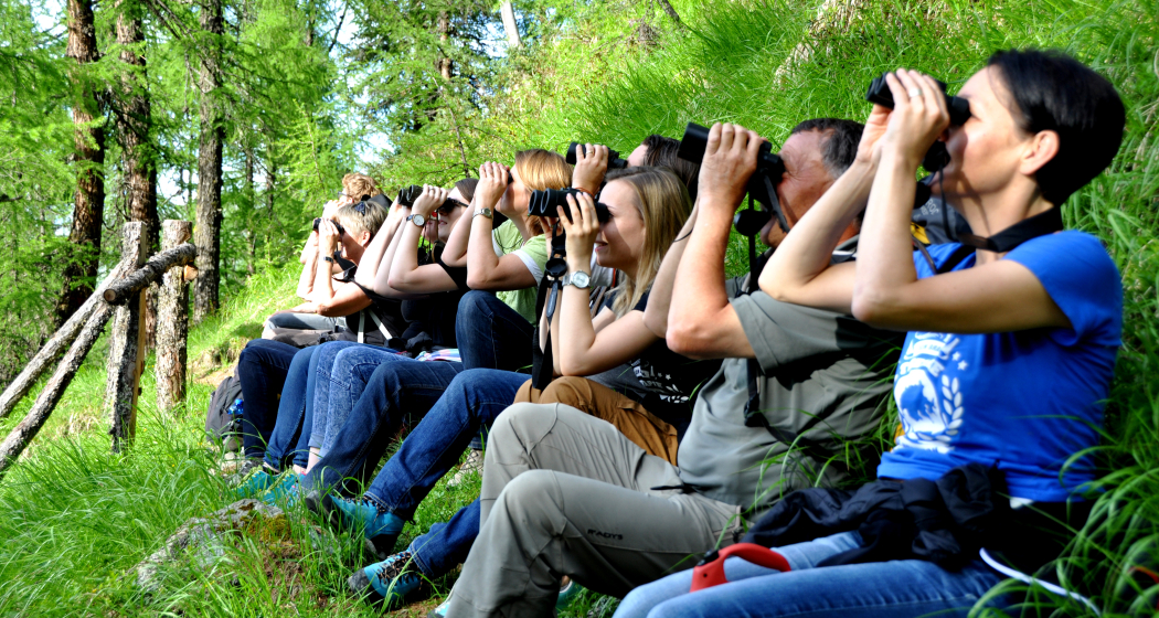 Wildbeobachtungstour im Parc Ela