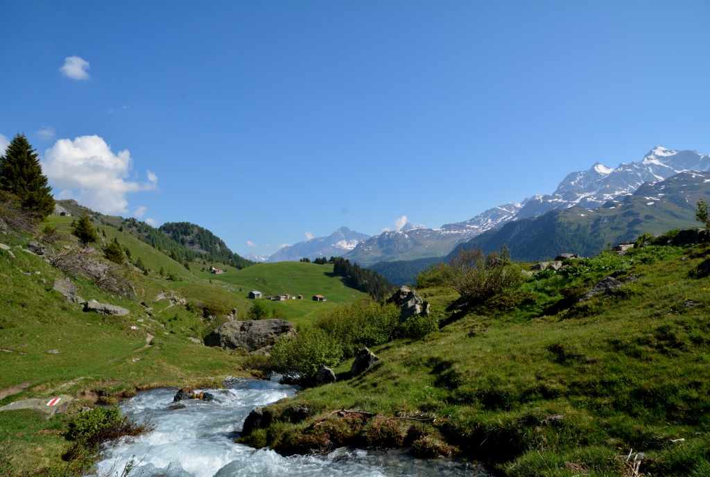 Bivio surragn alp bergbach