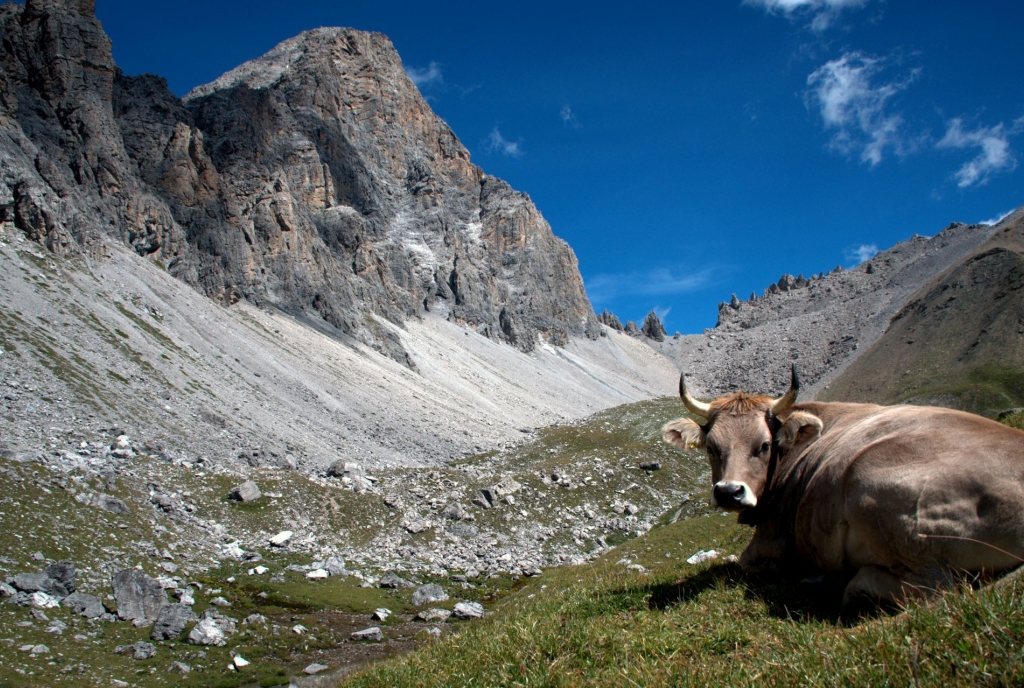 lai-tigiel-segantini-savognin-graubünden-schweiz-wandern-bergsee