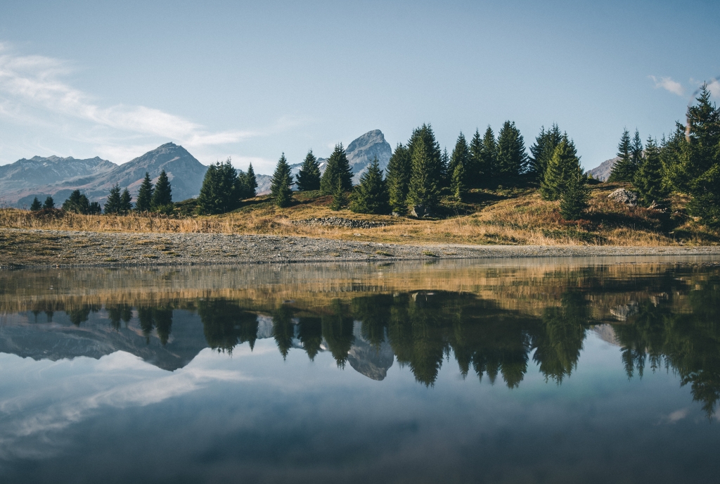 Alp Flix, Savognin