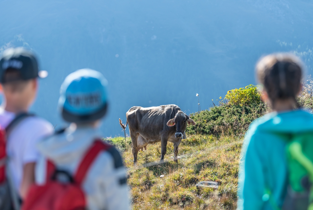 Themenweg Alpenleben