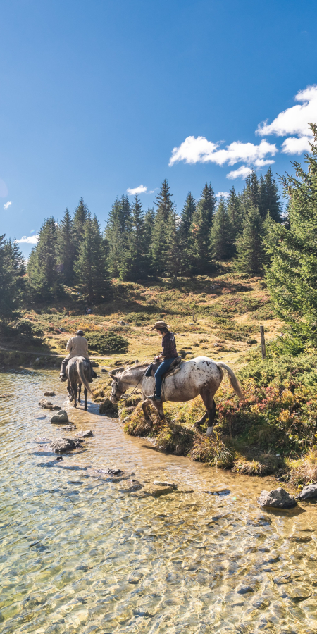 Alp Flix Reiten Bergsee