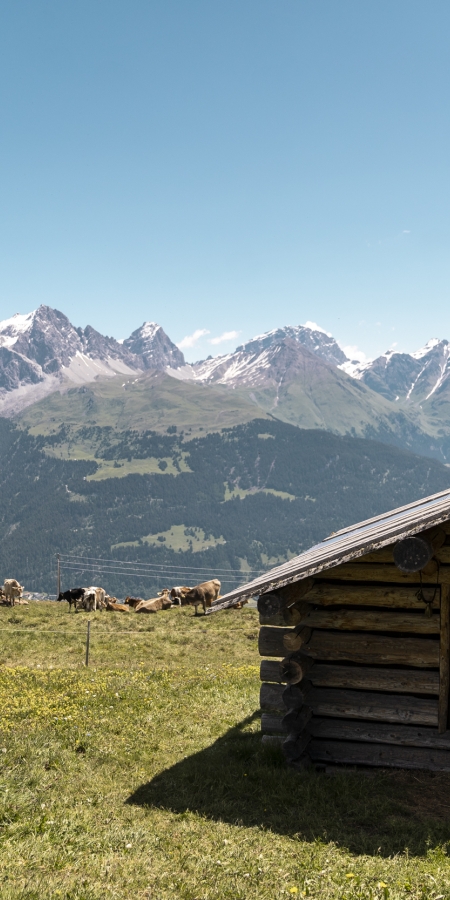 Tgamon Somtgant Savognin Alphütte