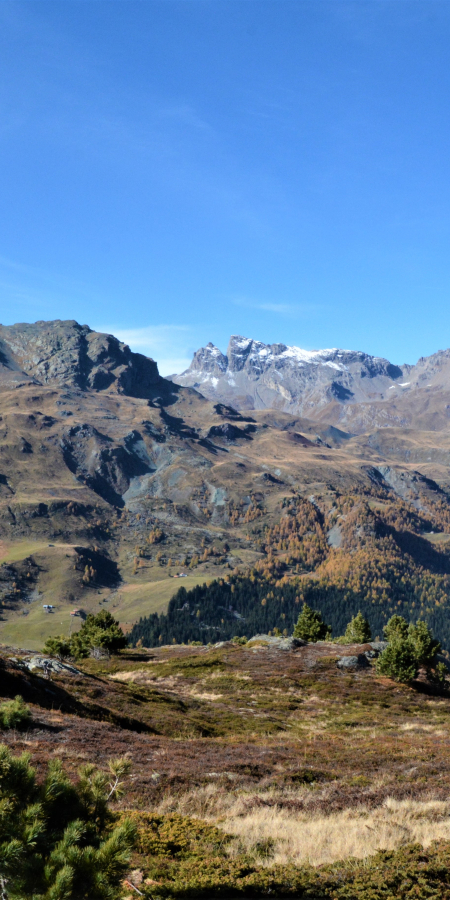 Bivio Murter Wandern