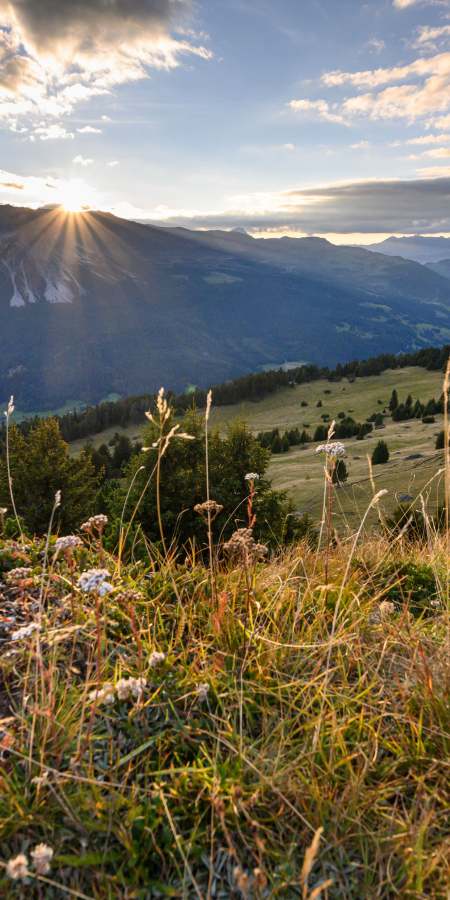 Herbst Val Surses