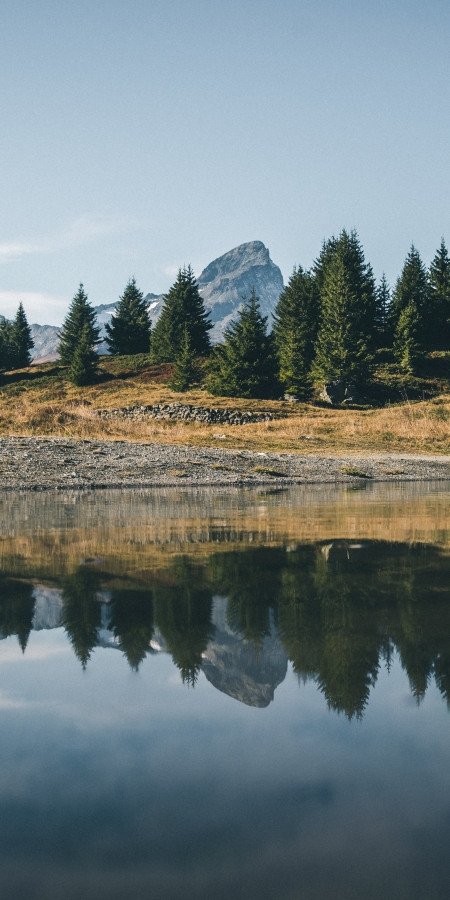 Alp Flix, Savognin Alp Flix, Savognin