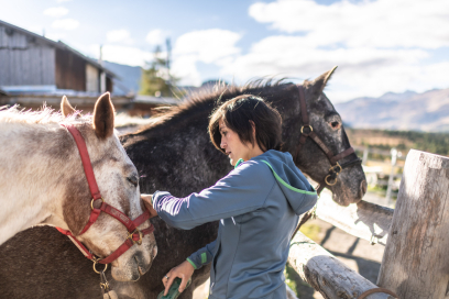 Pferderanch Alp Flix Pferderanch Alp Flix