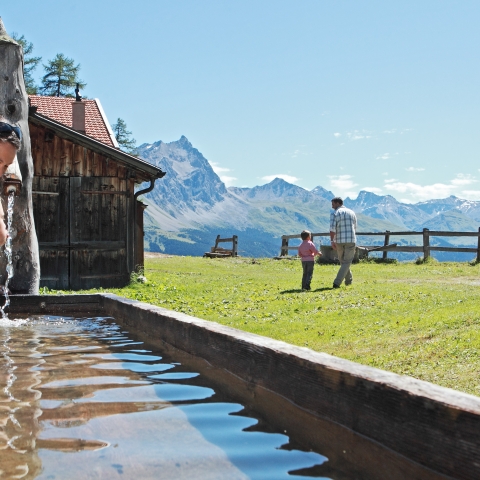 Bild Sommer