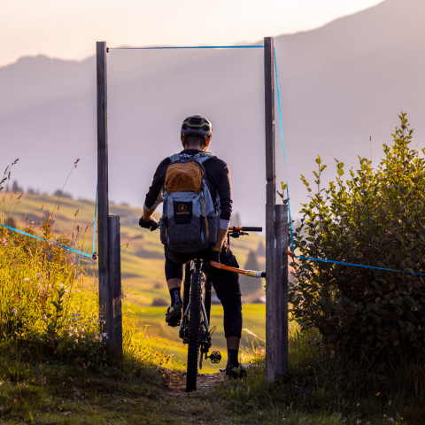 Roland Kolb Biker Roland Kolb Biker