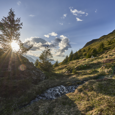 Landschaft Val Surses Christoph Gramann