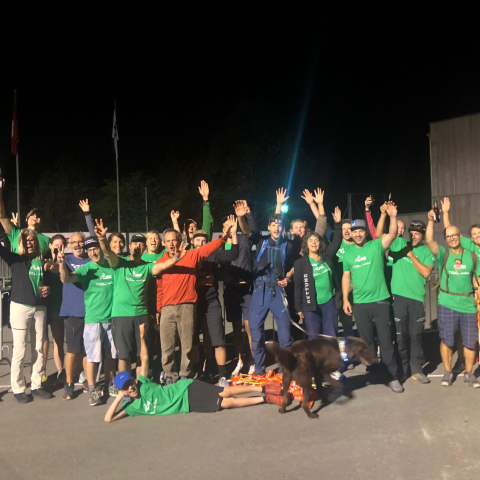 Voluntari Voluntari