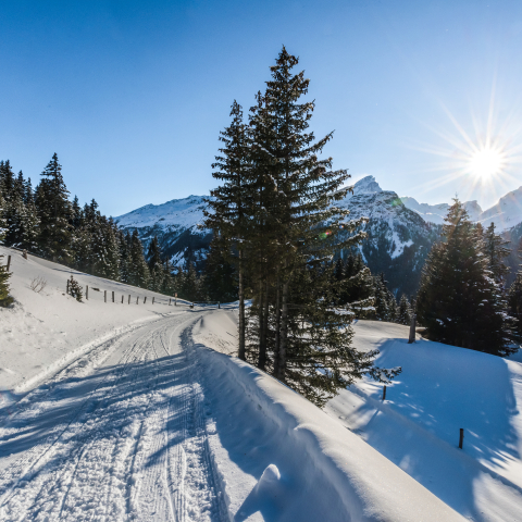 Landschaft Val Surses Landschaft Val Surses
