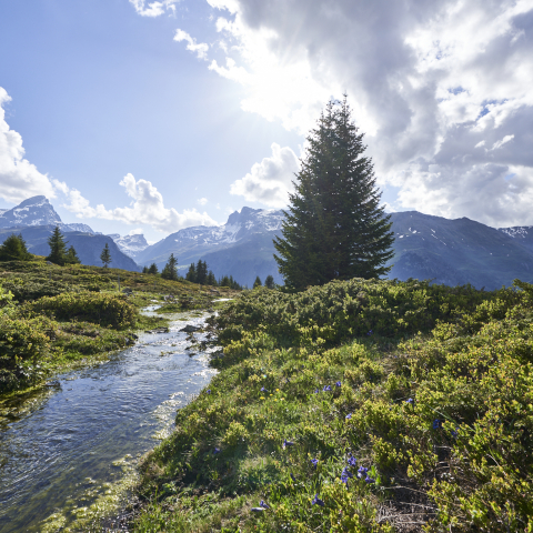 Landschaft Frühling - Copyright Christoph Gramann