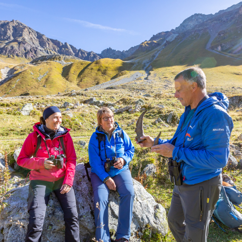 Wildbeobachtungstour ""