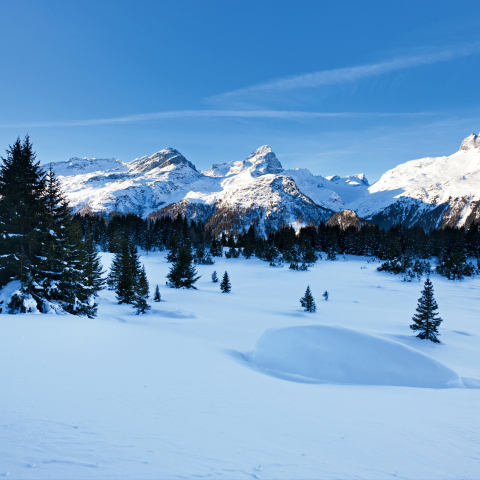 Alp Flix im Parc Ela (swiss-image.ch/Roland Gerth)