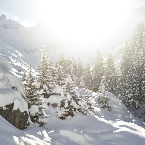 Winterlandschaft Winterlandschaft