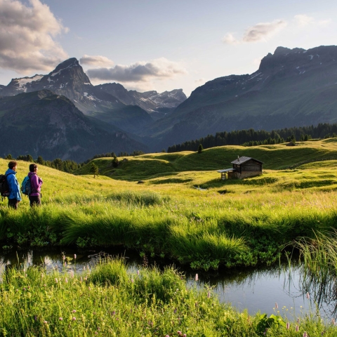 Alp Flix im Parc Ela