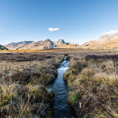Alp Flix, Savognin Alp Flix, Savognin