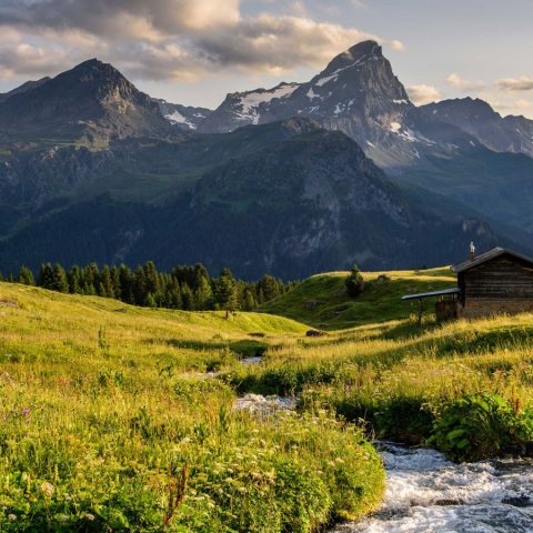 Alp Flix im Parc Ela (Bild: Lorenz A. Fischer)