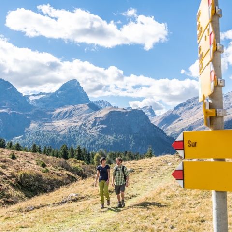 Wandern auf der Alp Flix Wandern auf der Alp Flix