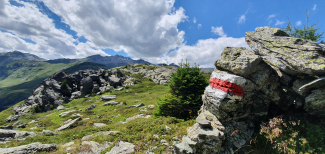 wandern-markierung-landschaft wandern-markierung-landschaft