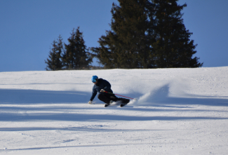 Holzski Coni Netzer Holzski Coni Netzer